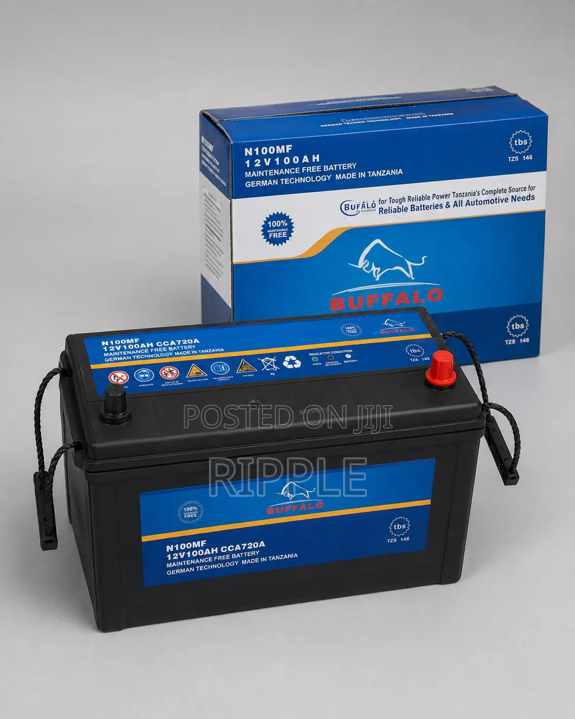 100Ah Buffalo N100 720CCA Maintenance Free Car Battery 12V