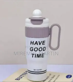 Insulated Sports Water Bottle / Tumbler With Carry Handle
