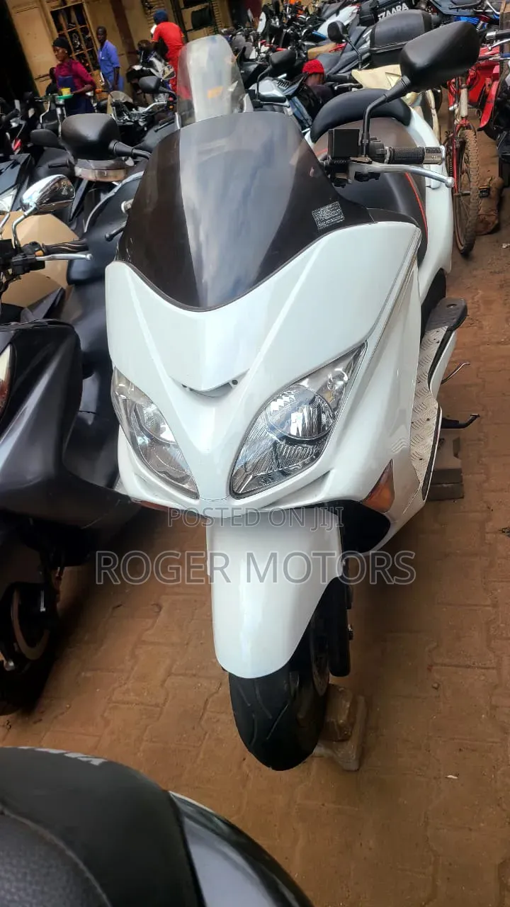 Honda Forza 2024 White