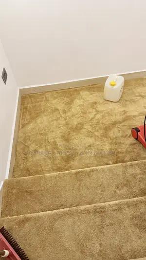 Luxury Soft Galaxy Carpet for Staircases | Uganda