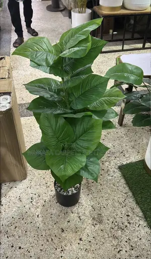 Artificial Plants Decorative Flowers for Sale