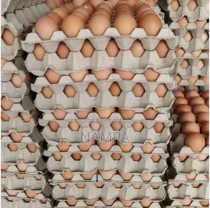 Eggs ,Trays