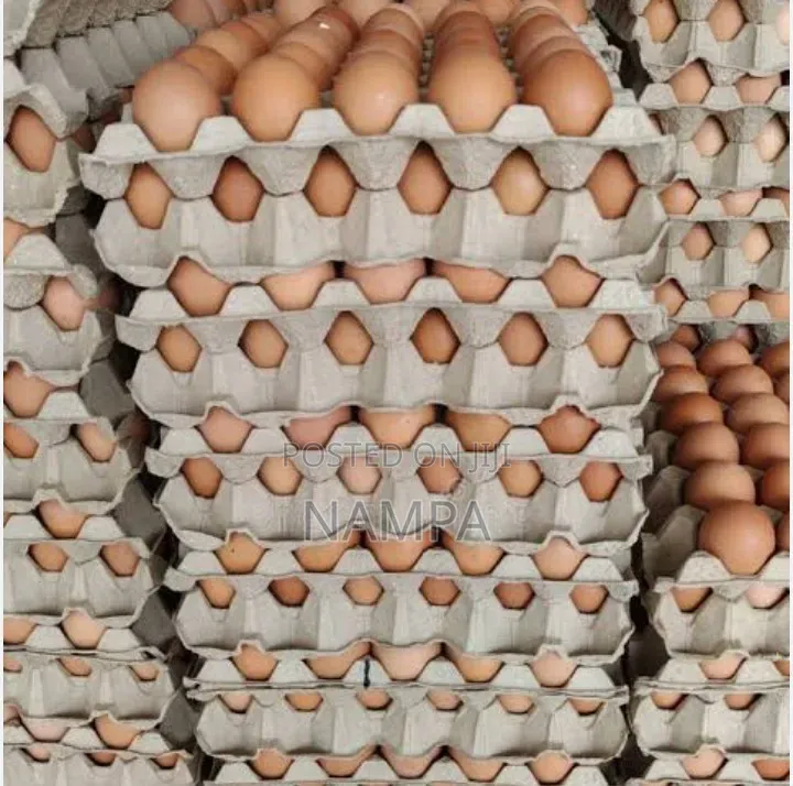 Eggs ,Trays