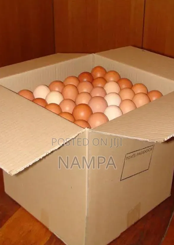 Eggs ,Trays