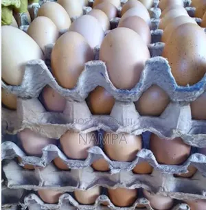 Eggs ,Trays