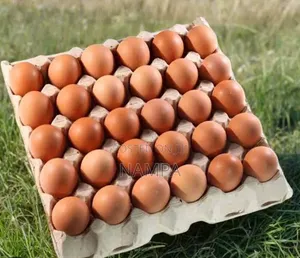 Eggs ,Trays