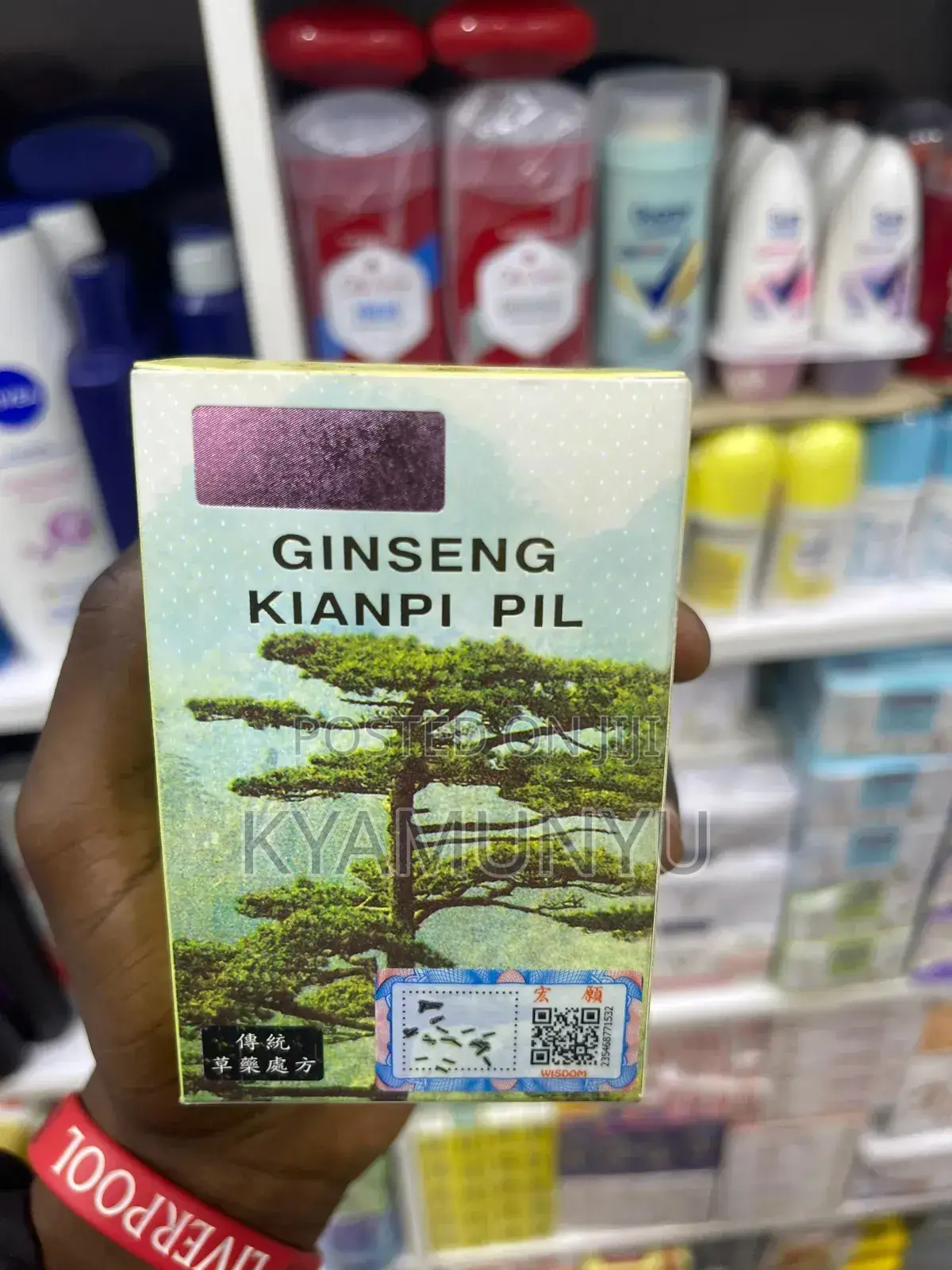 Ginseng Kianpi Pills