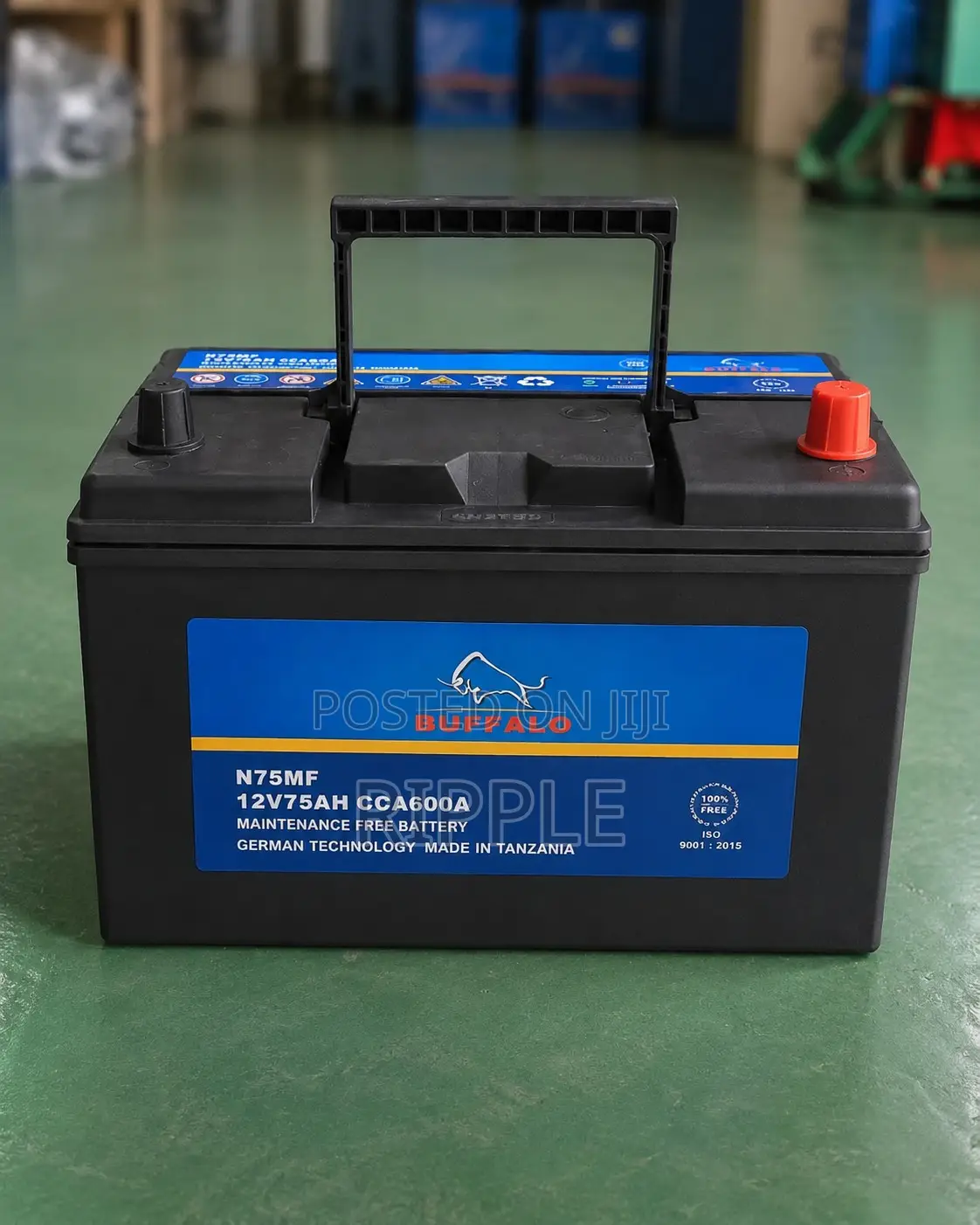 75Ah Buffalo N75 600CCA Maintenance Free Car Battery 12V