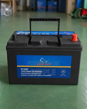 75Ah Buffalo N75 600CCA Maintenance Free Car Battery 12V