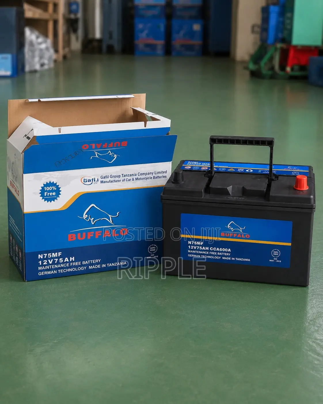 75Ah Buffalo N75 600CCA Maintenance Free Car Battery 12V