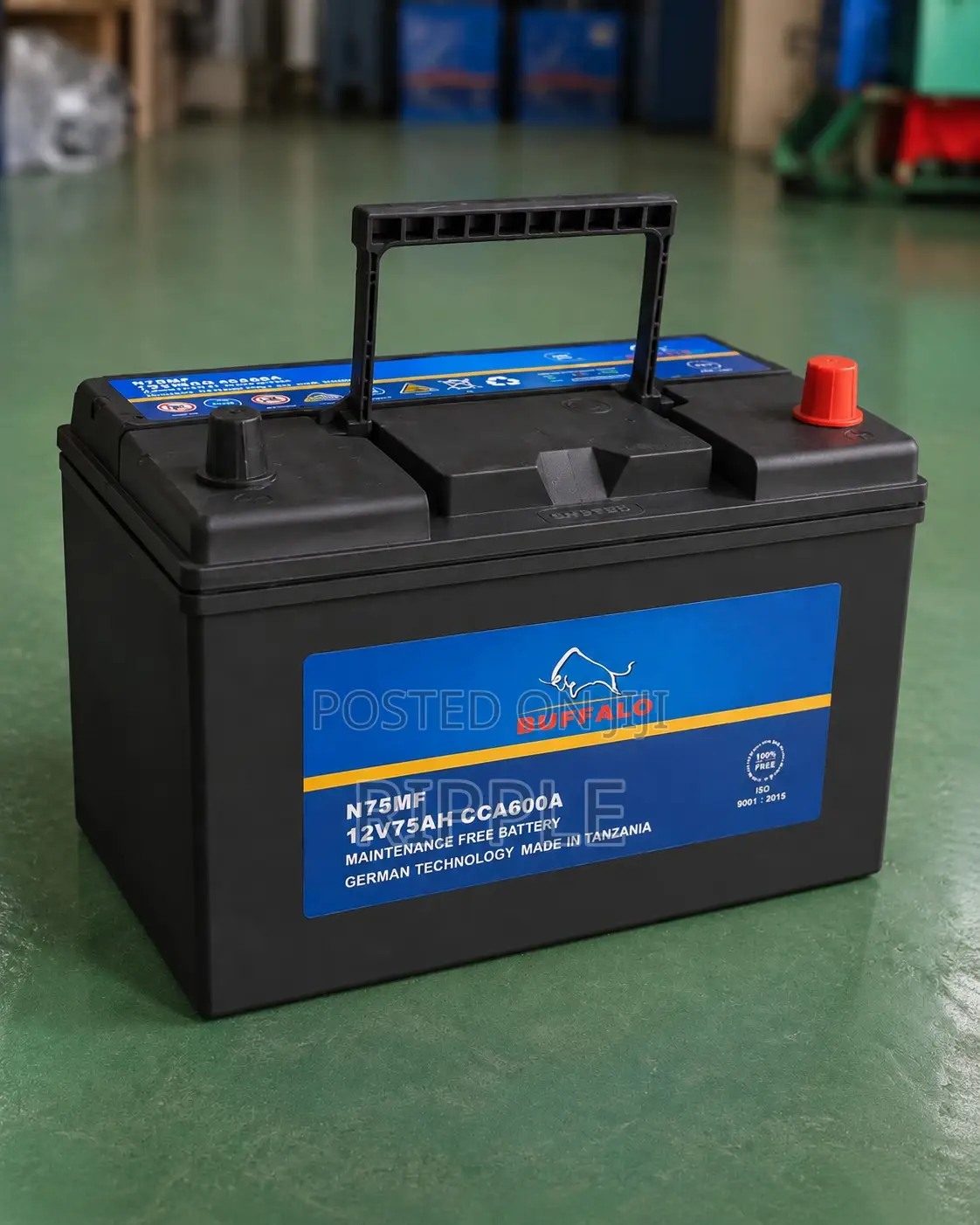 75Ah Buffalo N75 600CCA Maintenance Free Car Battery 12V