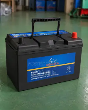 75Ah Buffalo N75 600CCA Maintenance Free Car Battery 12V
