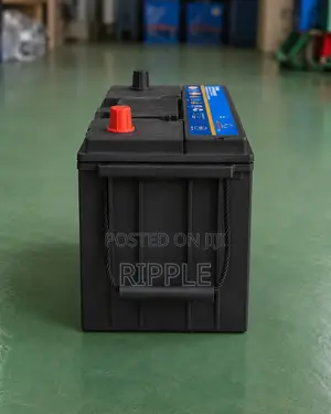 75Ah Buffalo N75 600CCA Maintenance Free Car Battery 12V