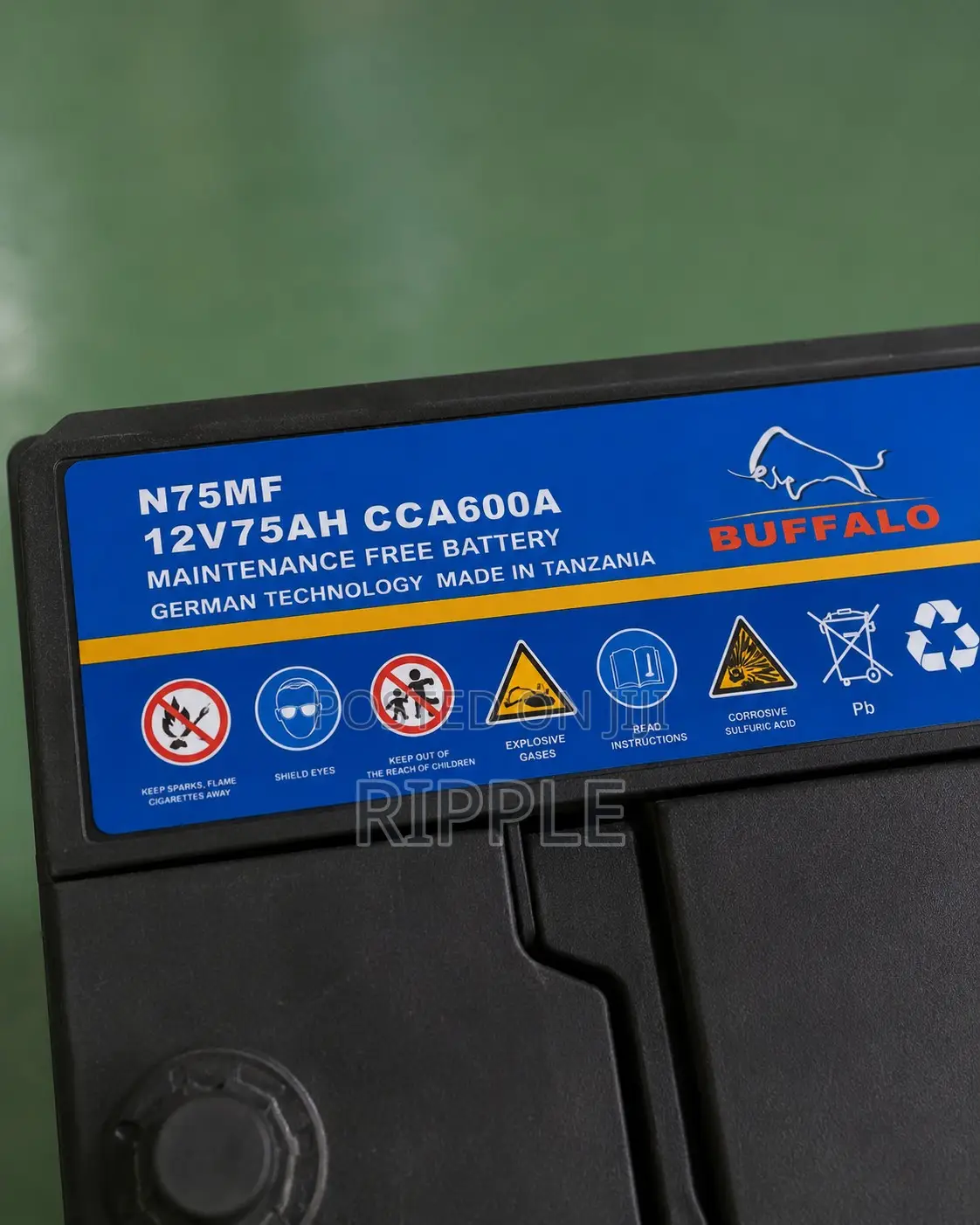 75Ah Buffalo N75 600CCA Maintenance Free Car Battery 12V
