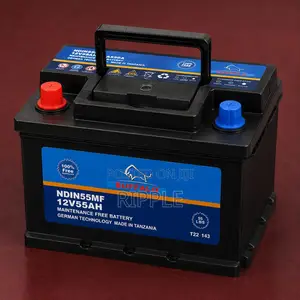 55Ah Buffalo DIN55 550CCA Maintenance Free Car Battery 12V