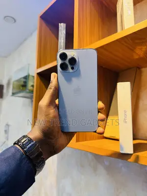 Apple iPhone 13 Pro Max 1 TB Blue