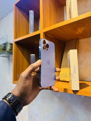 Apple iPhone 13 Pro Max 1 TB Blue