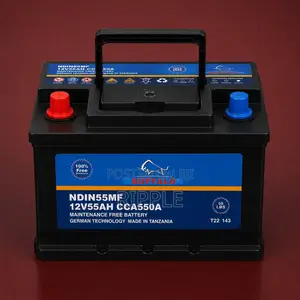 55Ah Buffalo DIN55 550CCA Maintenance Free Car Battery 12V