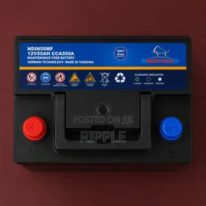 55Ah Buffalo DIN55 550CCA Maintenance Free Car Battery 12V