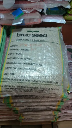 Soyabean Seeds 5kg