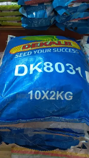 Dekalb Maize Seeds (White) | High-Yielding | Drought Tolerant
20kg