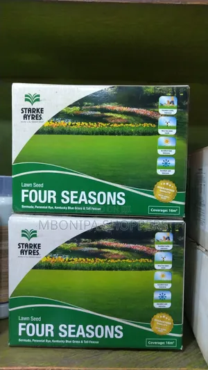 Four Seasons Stark Ayres Lawn Seeds -500g