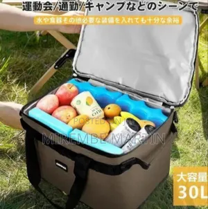 Professional Insulated Portable Cooler Bag