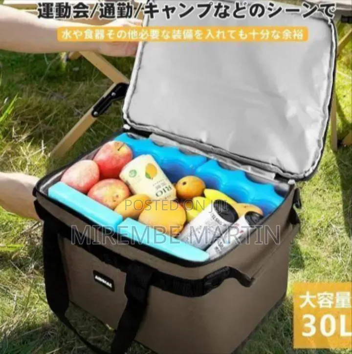 Professional Insulated Portable Cooler Bag