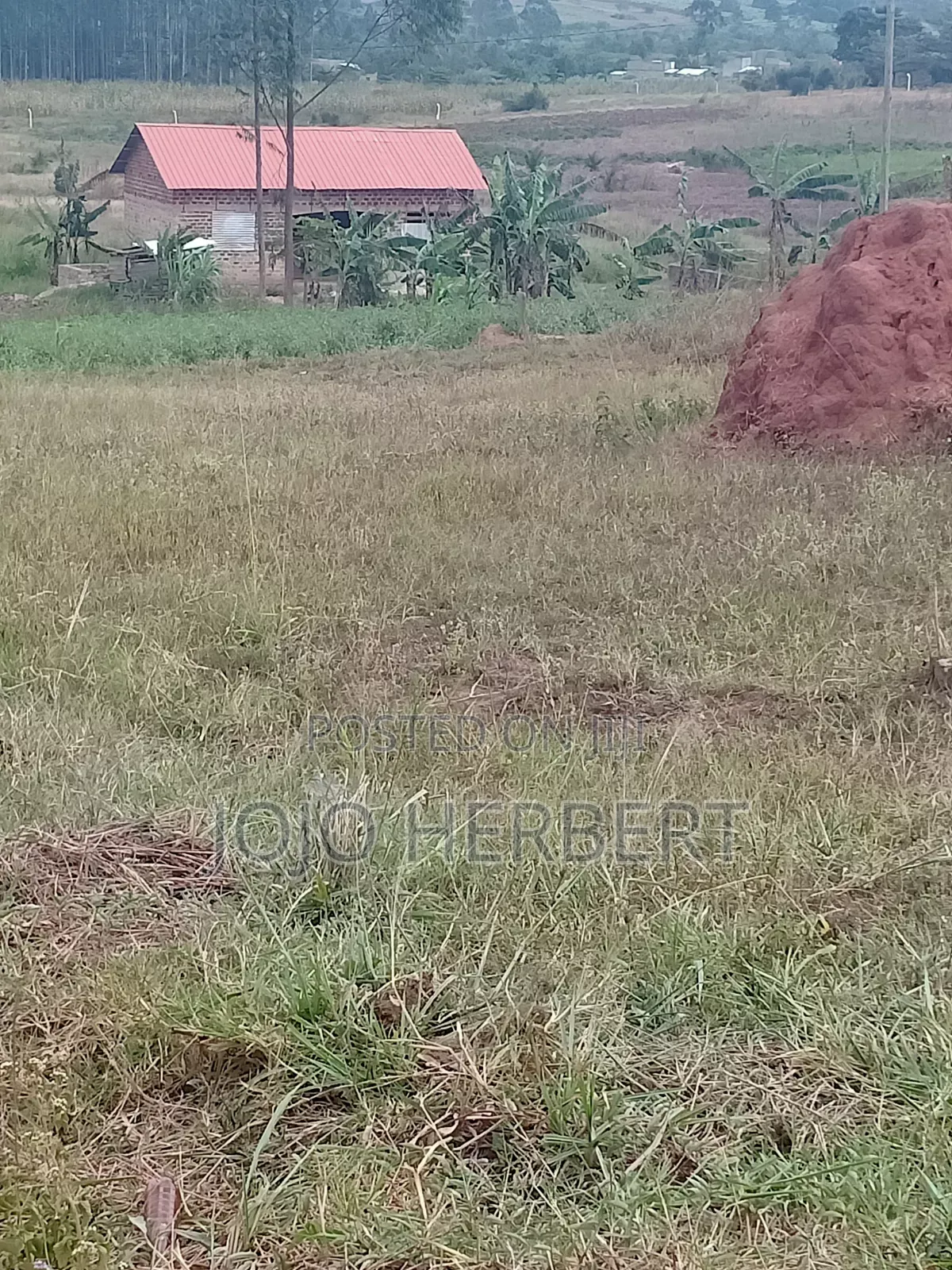Kikandwa Hoima Road (50*100)ft Plot for Sell