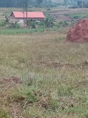 Kikandwa Hoima Road (50*100)ft Plot for Sell