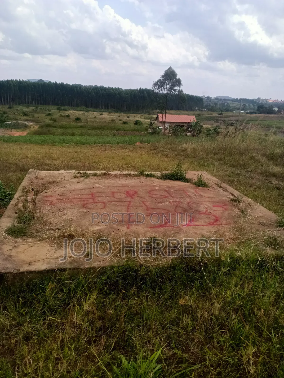 Kikandwa Hoima Road (50*100)ft Plot for Sell