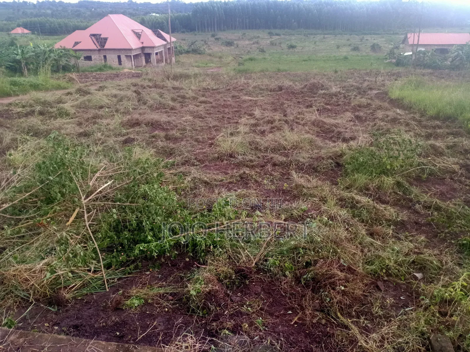 Kikandwa Hoima Road (50*100)ft Plot for Sell