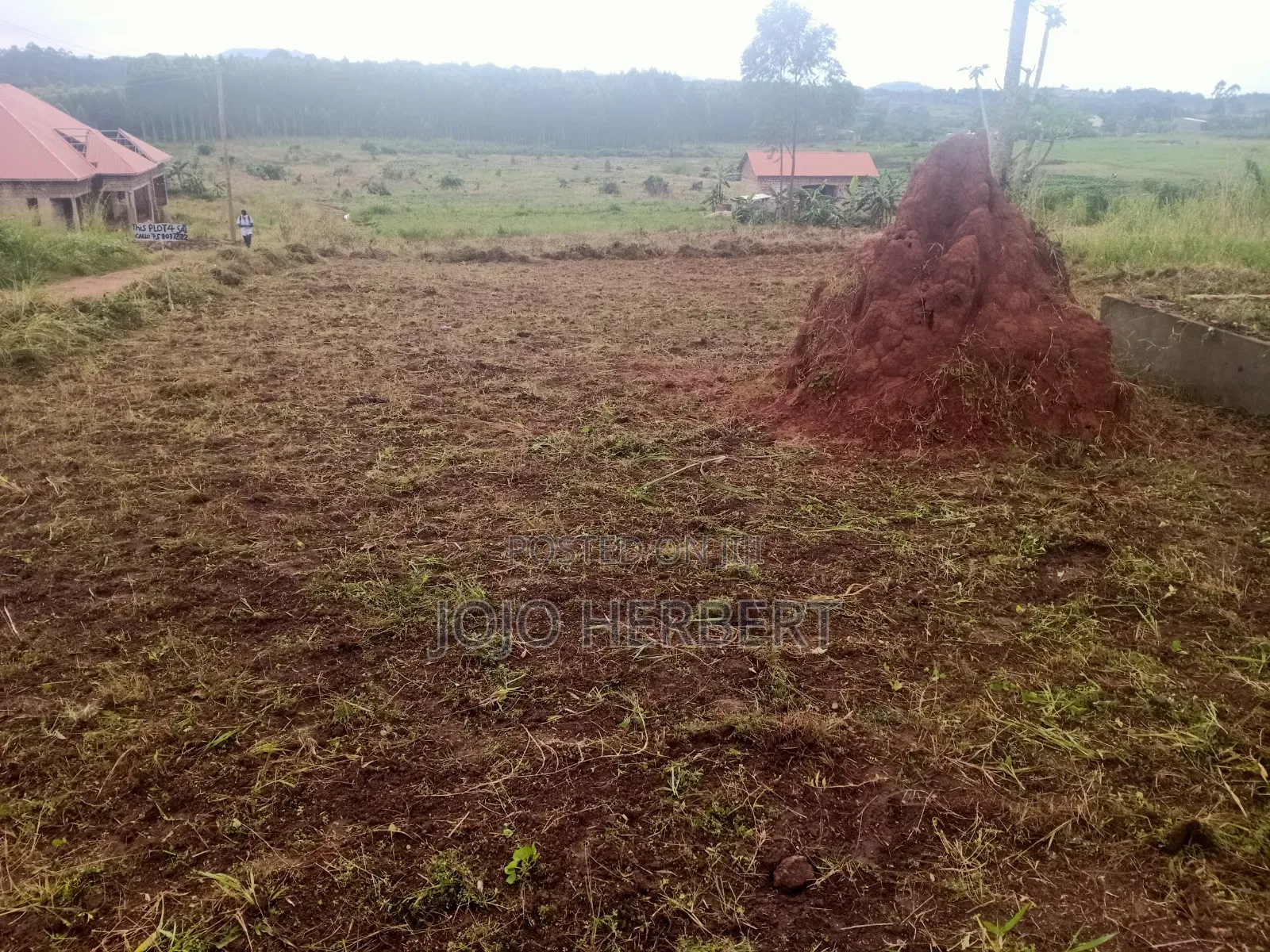 Kikandwa Hoima Road (50*100)ft Plot for Sell