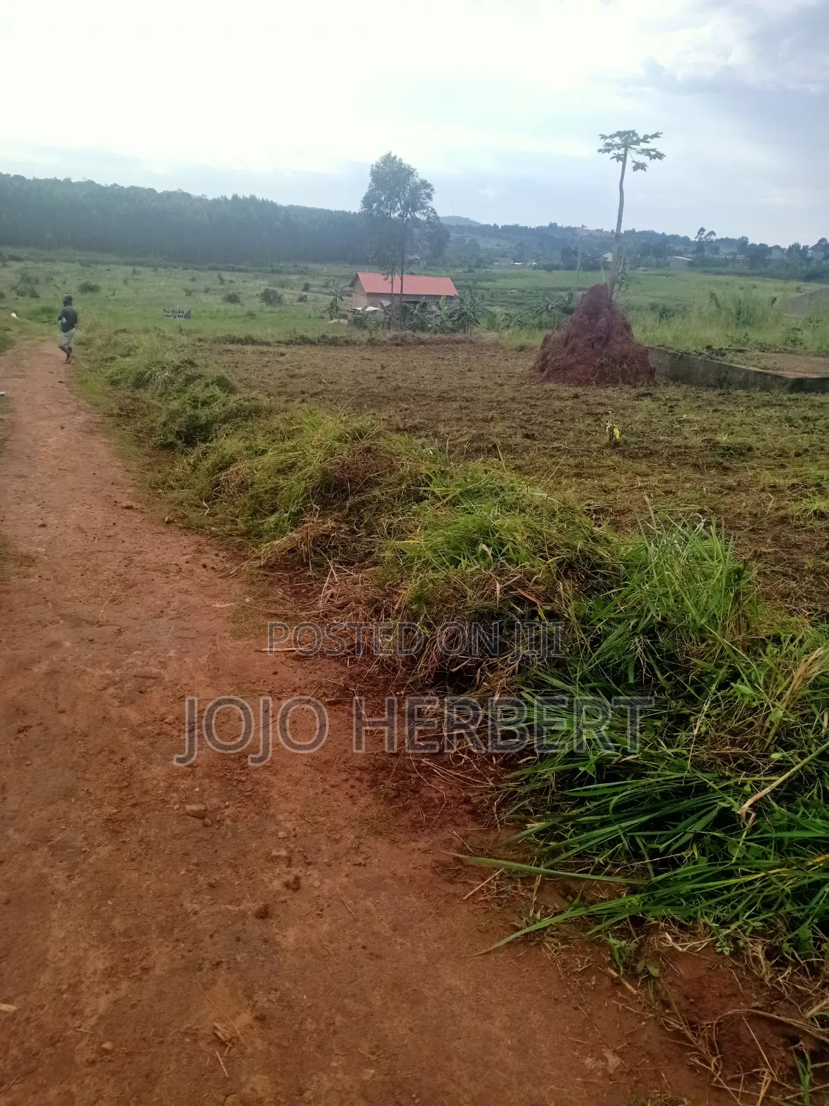 Kikandwa Hoima Road (50*100)ft Plot for Sell