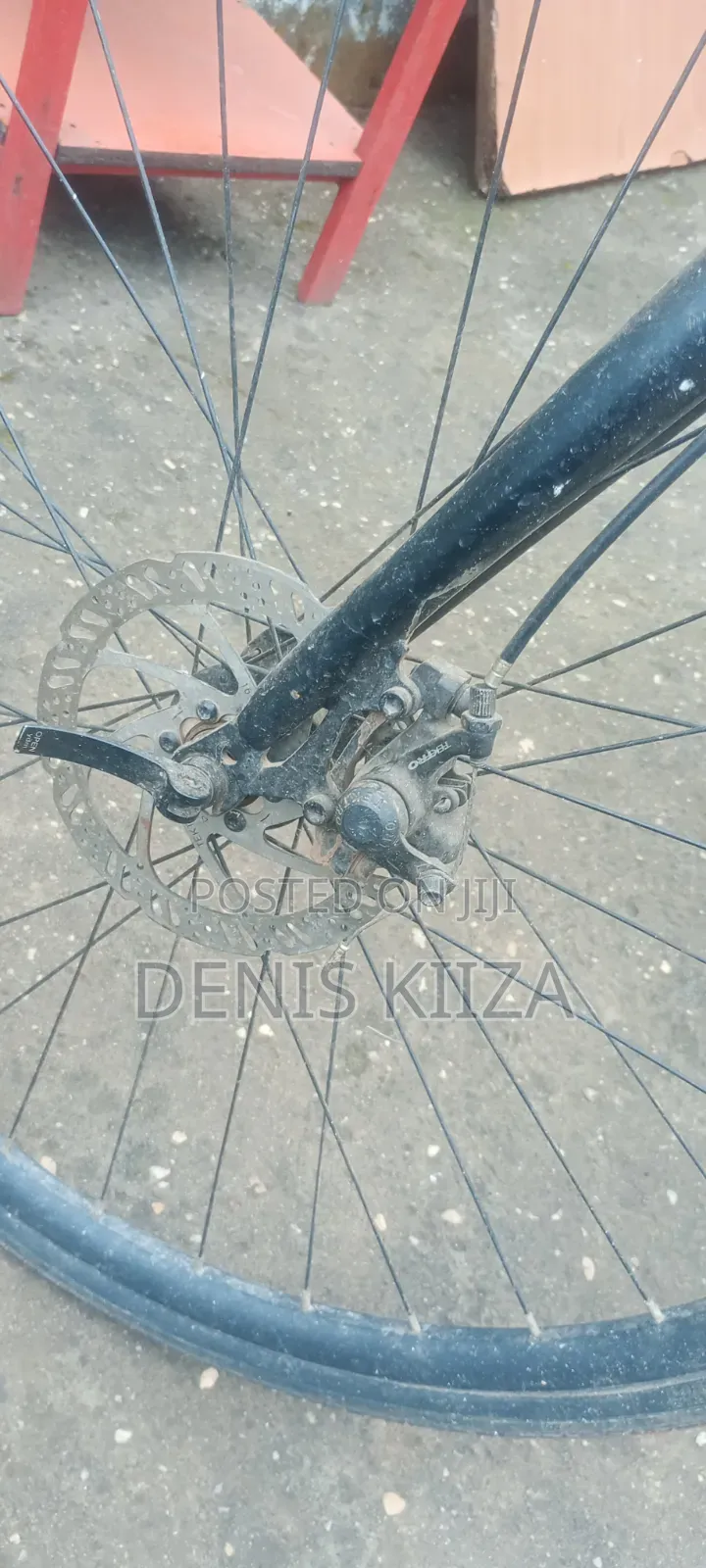 Spartan Bicycle