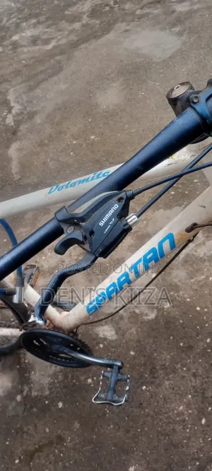 Spartan Bicycle