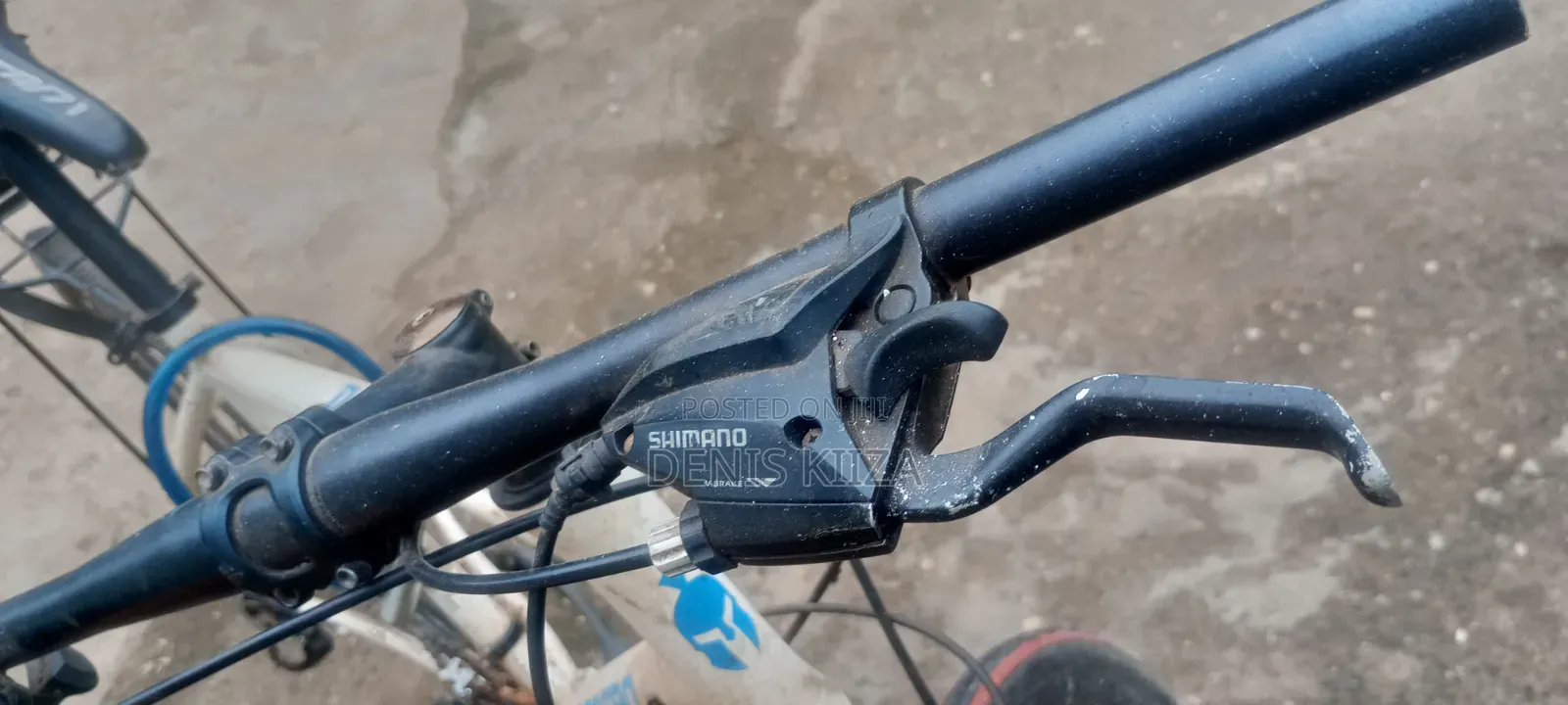 Spartan Bicycle