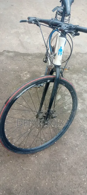 Spartan Bicycle