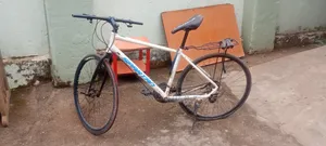 Spartan Bicycle