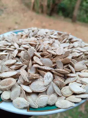 Quality Pumpkin Seeds