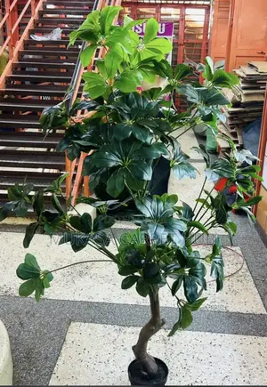 Artificial Indoor Plants – Modern Home Decoration
