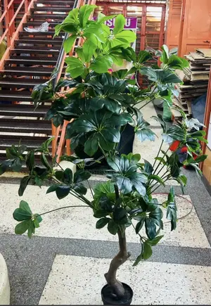 Artificial Indoor Plants – Modern Home Decoration