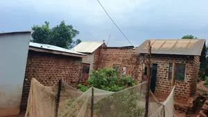 Plot With Houses for Sale