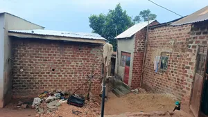Plot With Houses for Sale