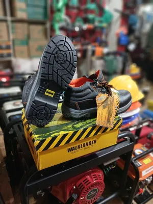 Walklander Safety Shoes