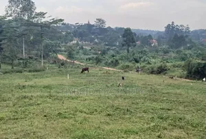 Prime Plots for Sale at Namusera~Wakiso Tarmac View Divine Land Estate