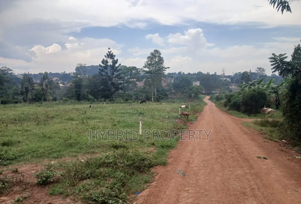 Prime Plots for Sale at Namusera~Wakiso Tarmac View Divine Land Estate