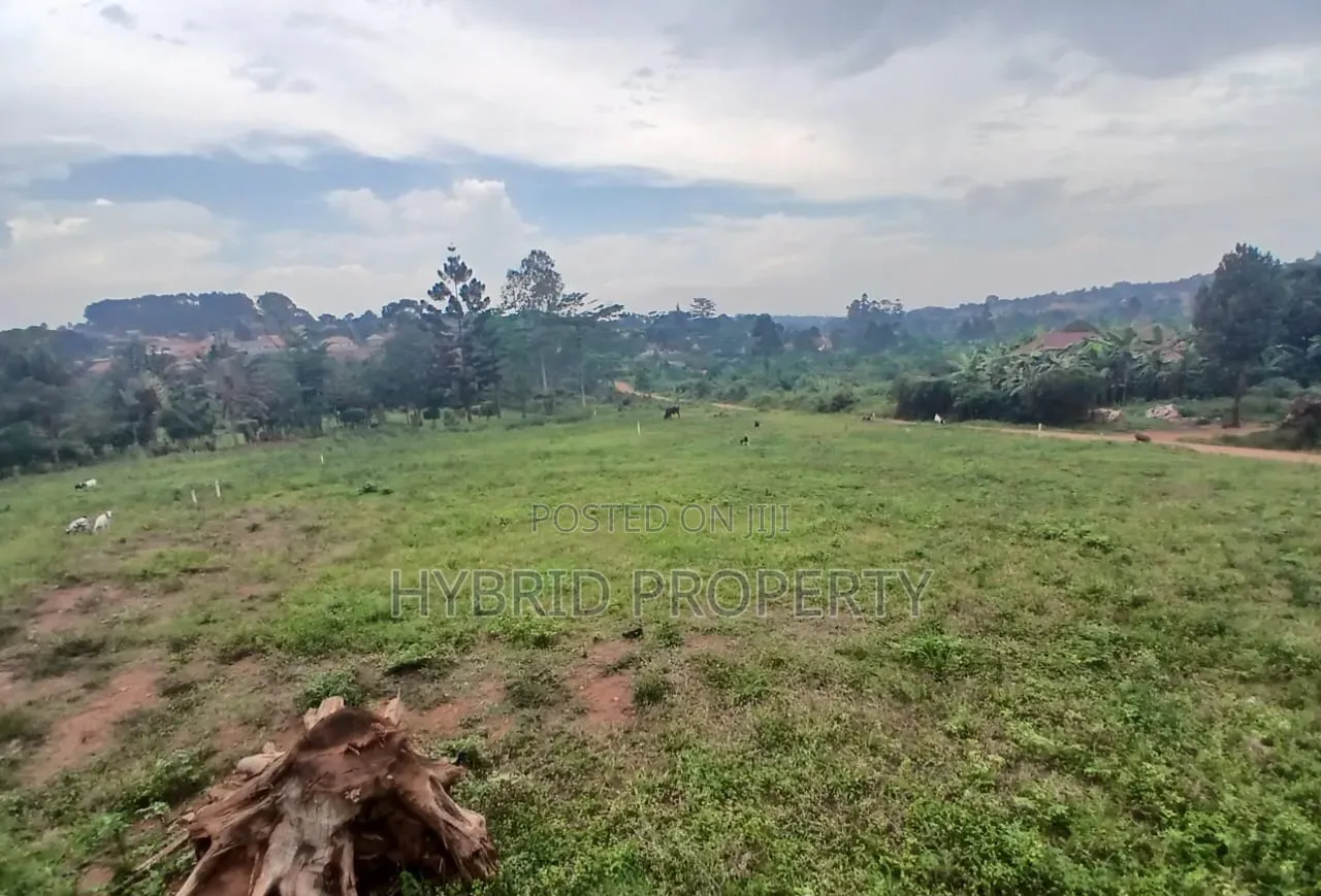 Prime Plots for Sale at Namusera~Wakiso Tarmac View Divine Land Estate