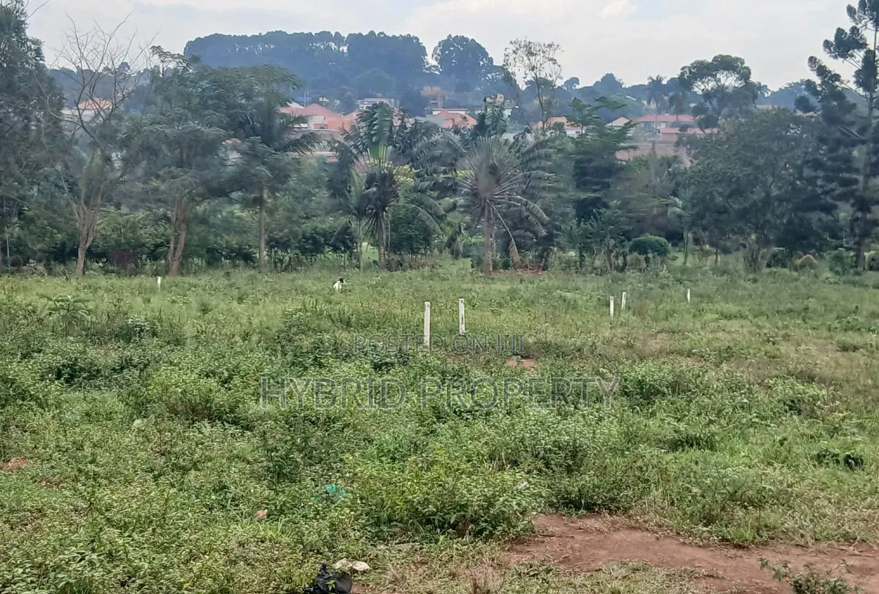 Prime Plots for Sale at Namusera~Wakiso Tarmac View Divine Land Estate