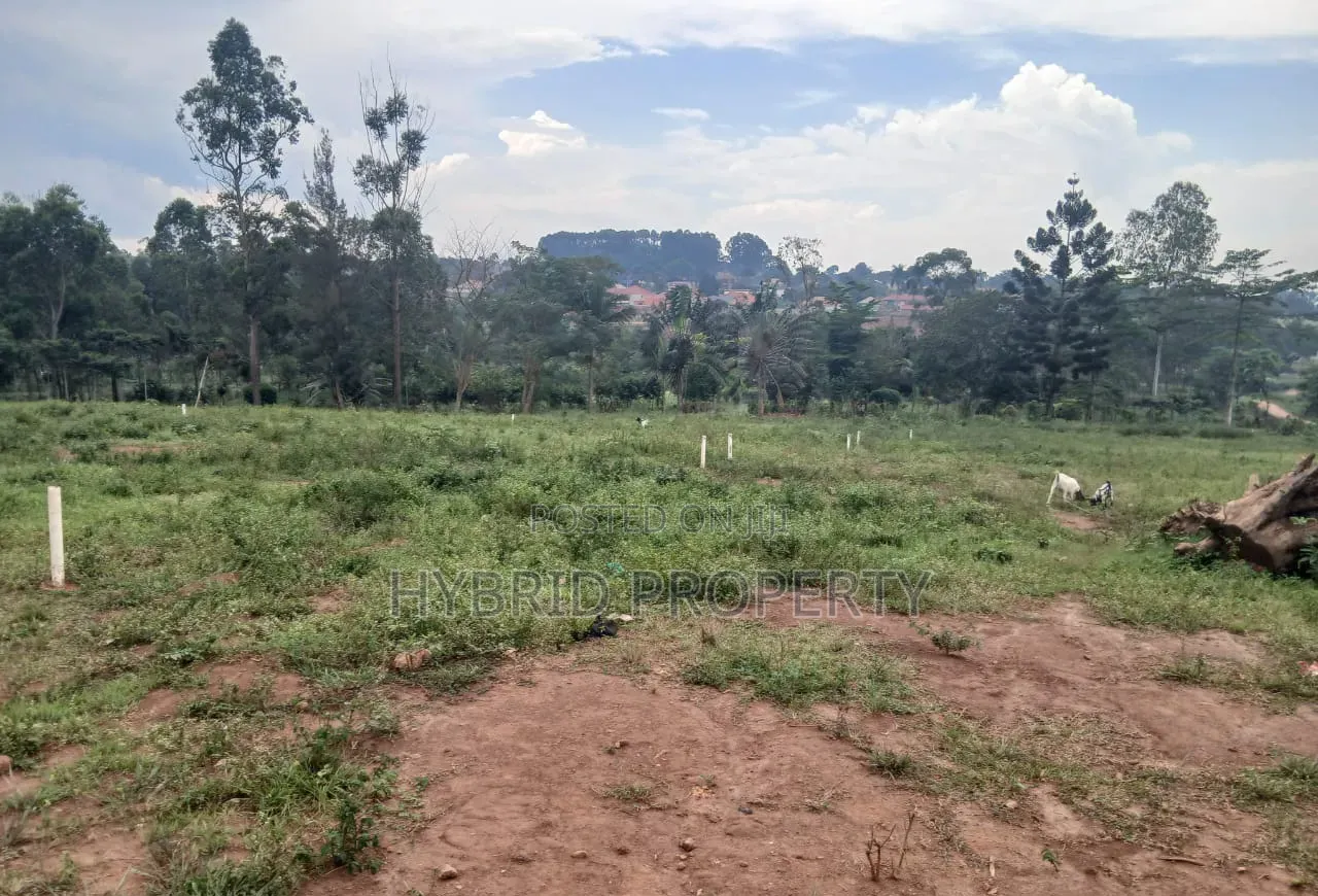 Prime Plots for Sale at Namusera~Wakiso Tarmac View Divine Land Estate